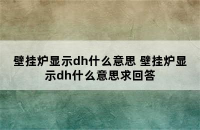 壁挂炉显示dh什么意思 壁挂炉显示dh什么意思求回答